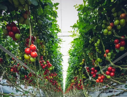 Does your electrode need cleaning?