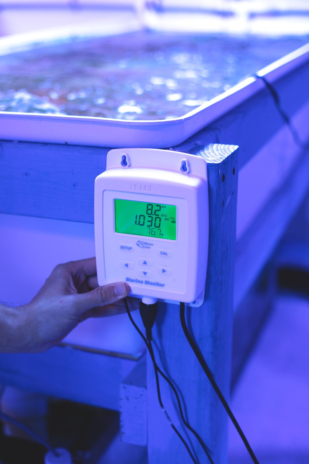 HI-981520 Marine Monitor for pH, Marine Salinity and Temperature