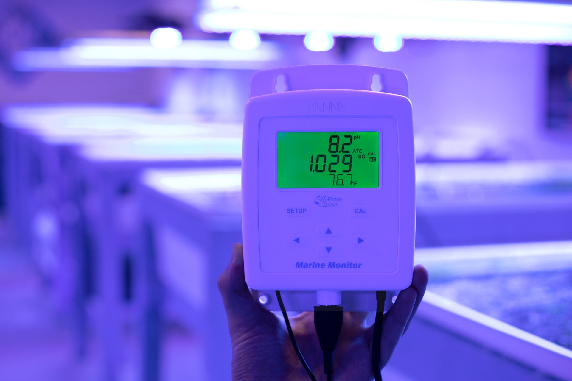HI-981520 Marine Monitor for pH, Marine Salinity and Temperature
